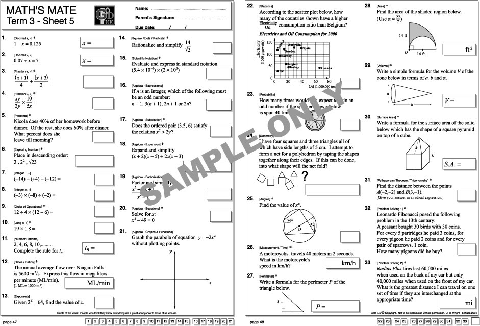 Math's Mate Gold Sample page